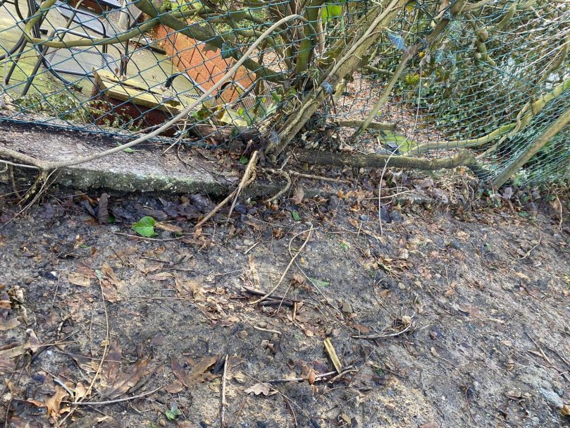 Gartengestaltung Vorher